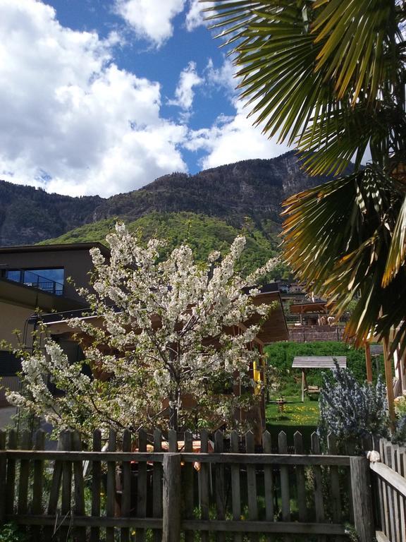 Wiesmuellerhof Caldaro Exterior foto