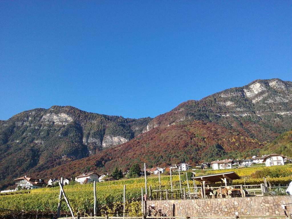 Wiesmuellerhof Caldaro Exterior foto