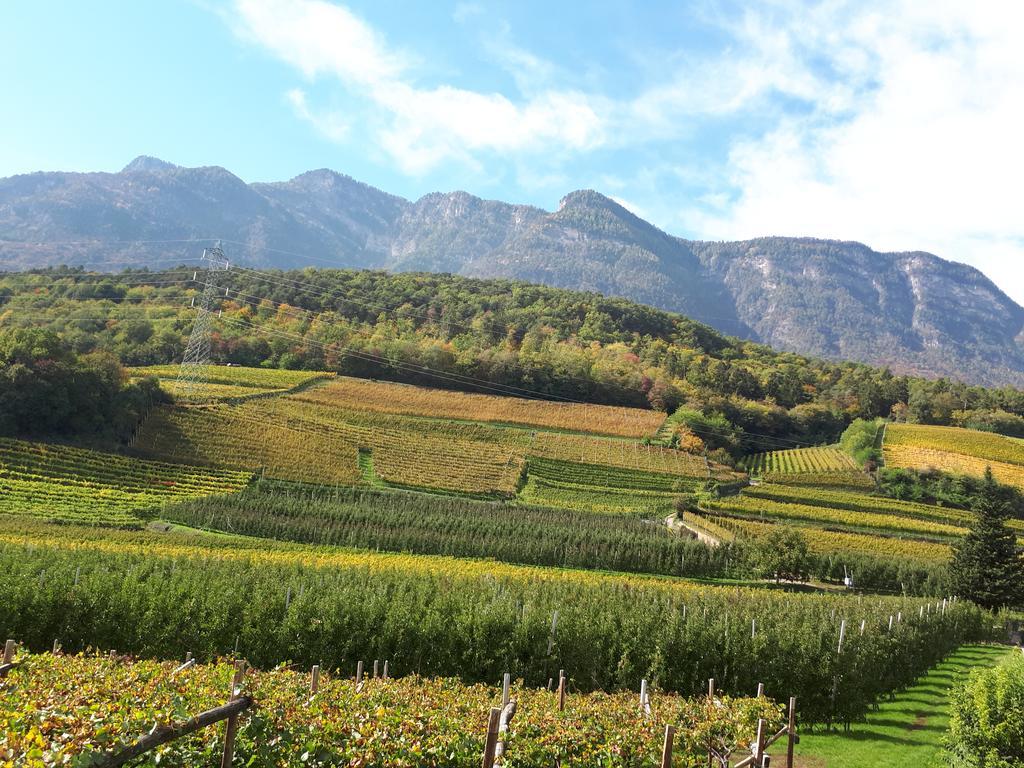 Wiesmuellerhof Caldaro Exterior foto